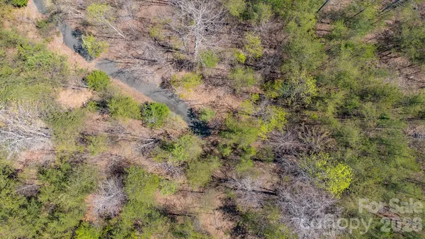 $55,000 | Tbd Jobes Trail, Unit 29, Mill Spring, NC 28756