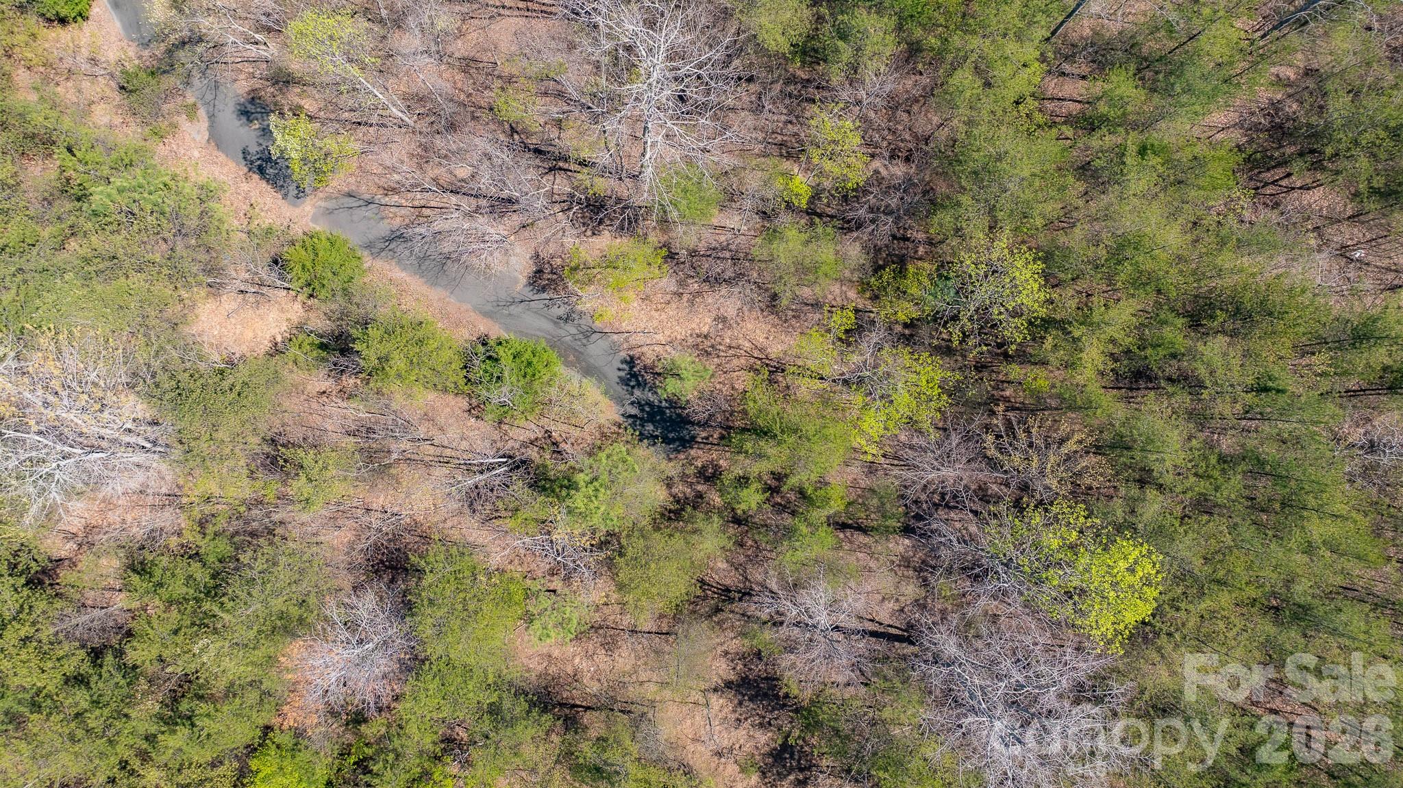 Tbd Jobes Trail, Unit 29 Mill Spring, NC 28756 - Photo 15 of 41