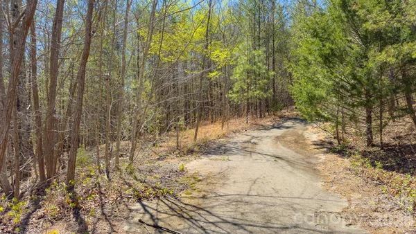 $55,000 | Tbd Jobes Trail, Unit 29, Mill Spring, NC 28756