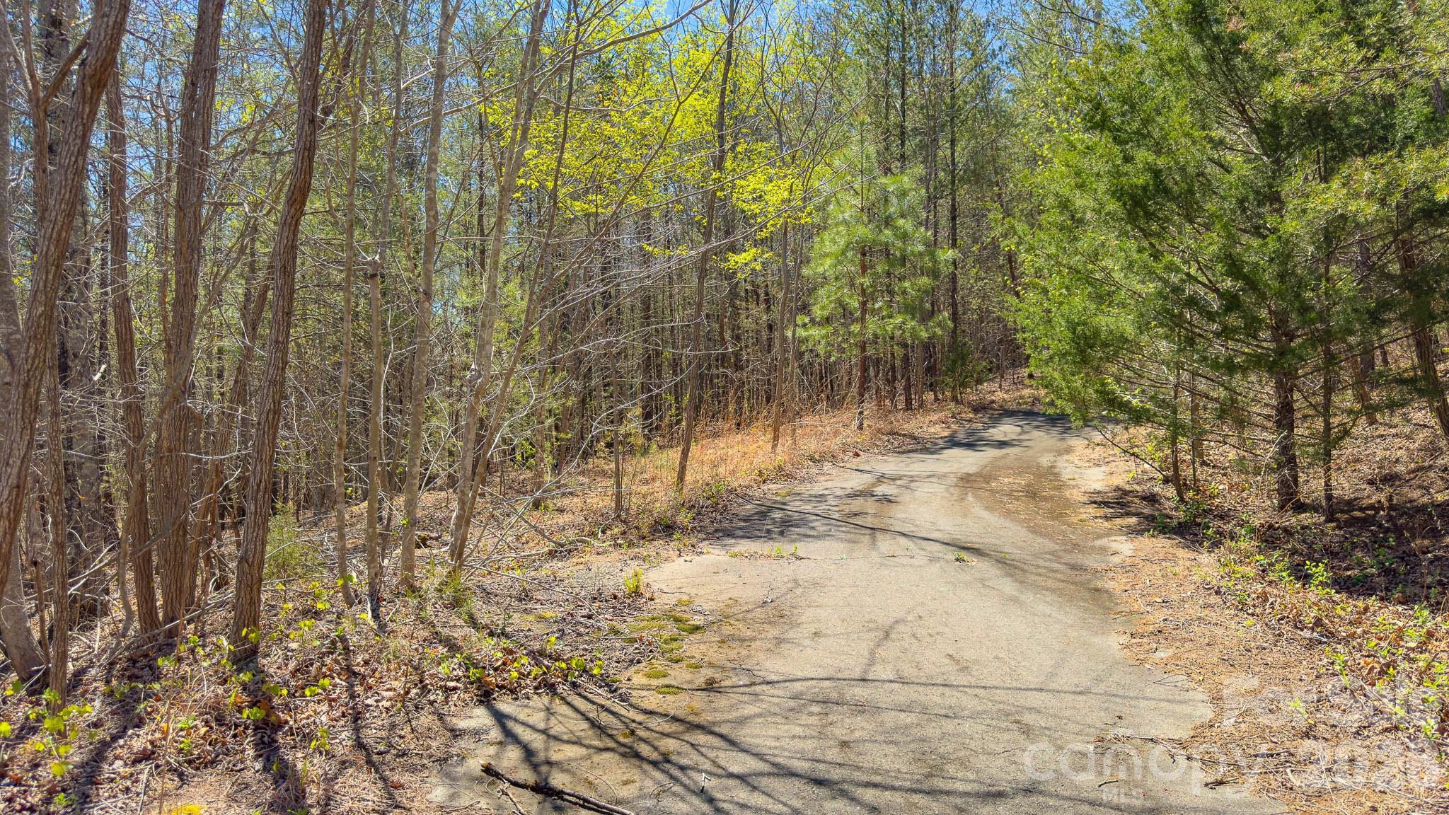 Tbd Jobes Trail, Unit 29 Mill Spring, NC 28756 - Photo 16 of 41