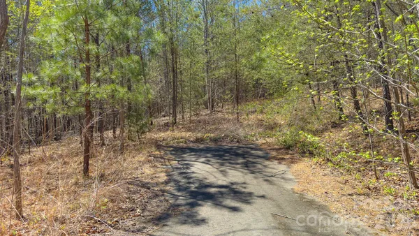 $55,000 | Tbd Jobes Trail, Unit 29, Mill Spring, NC 28756