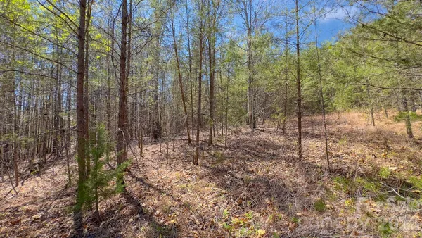 $55,000 | Tbd Jobes Trail, Unit 29, Mill Spring, NC 28756