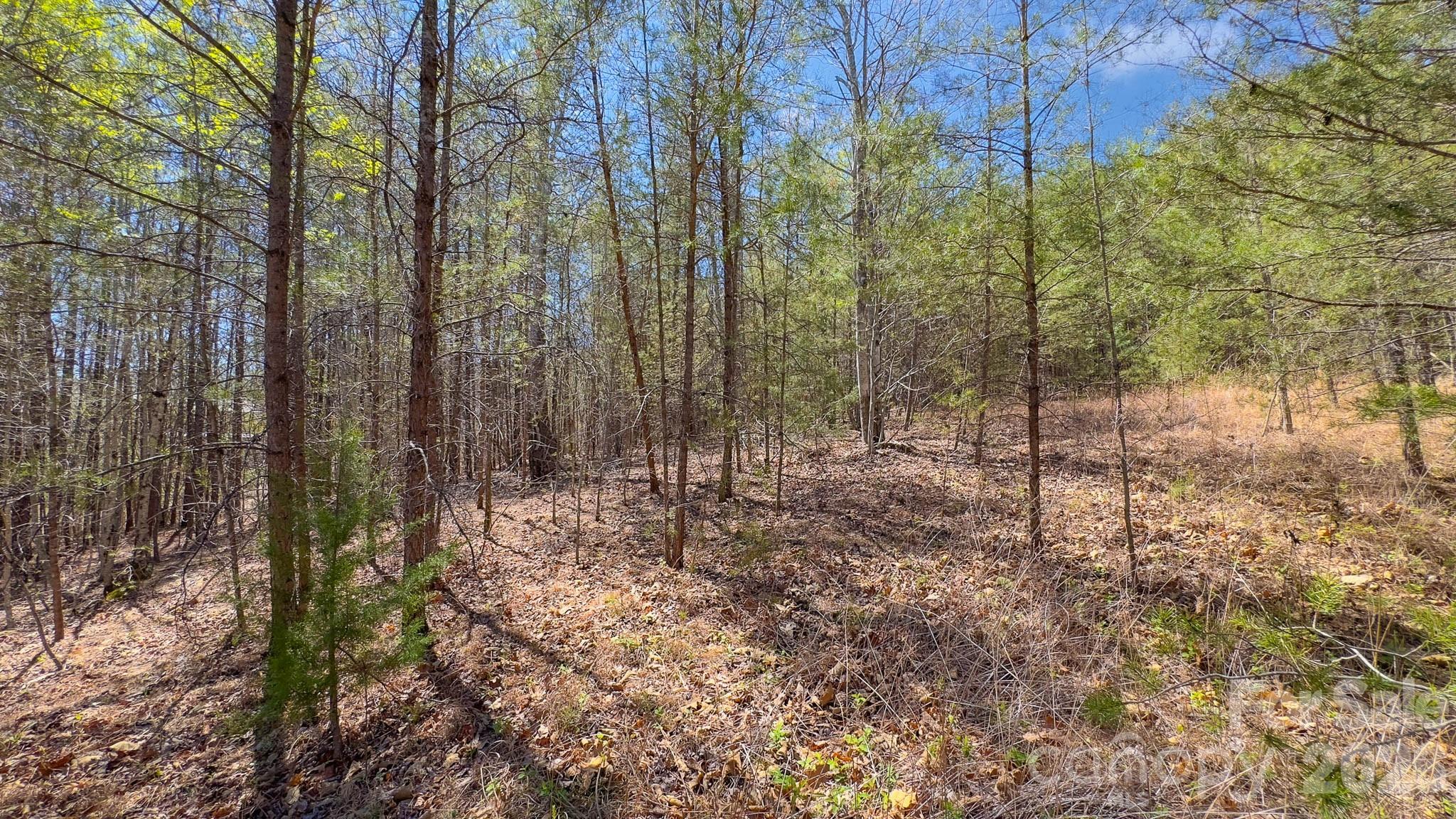 Tbd Jobes Trail, Unit 29 Mill Spring, NC 28756 - Photo 18 of 41