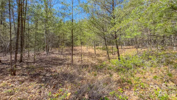 $55,000 | Tbd Jobes Trail, Unit 29, Mill Spring, NC 28756