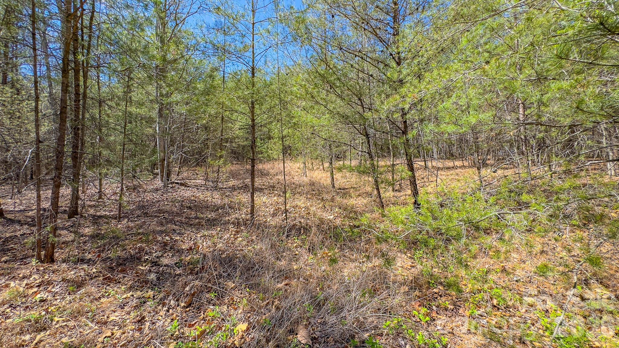 Tbd Jobes Trail, Unit 29 Mill Spring, NC 28756 - Photo 19 of 41