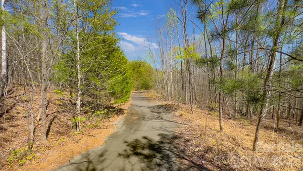 $55,000 | Tbd Jobes Trail, Unit 29, Mill Spring, NC 28756