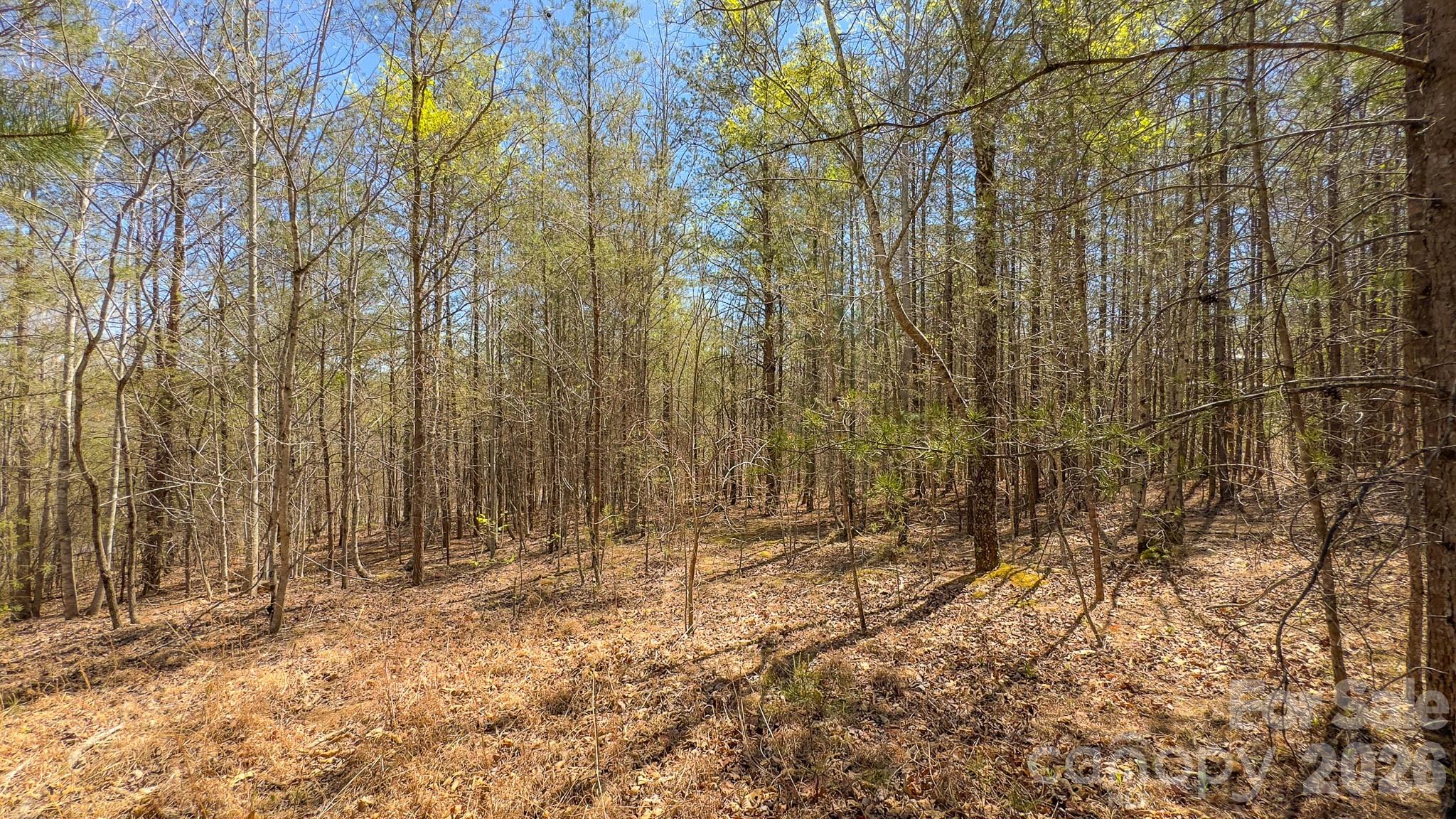 Tbd Jobes Trail, Unit 29 Mill Spring, NC 28756 - Photo 21 of 41