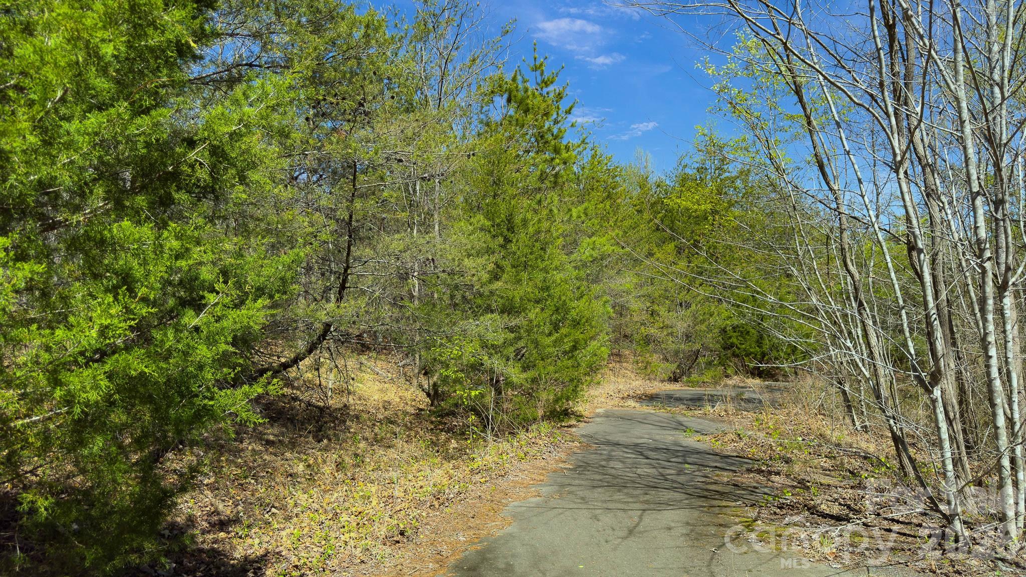 Tbd Jobes Trail, Unit 29 Mill Spring, NC 28756 - Photo 22 of 41