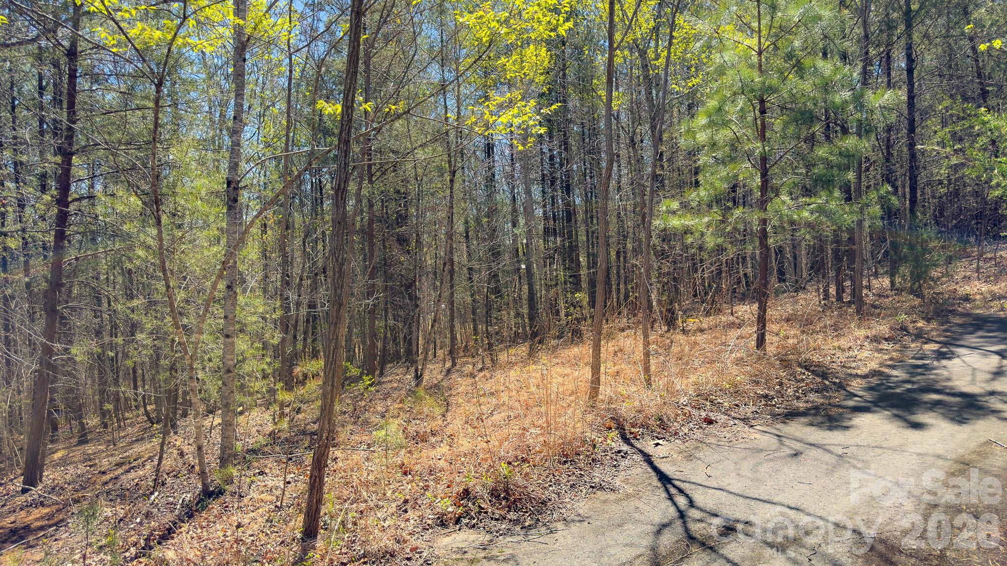 Tbd Jobes Trail, Unit 29 Mill Spring, NC 28756 - Photo 23 of 41