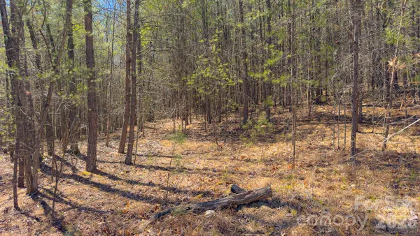 $55,000 | Tbd Jobes Trail, Unit 29, Mill Spring, NC 28756