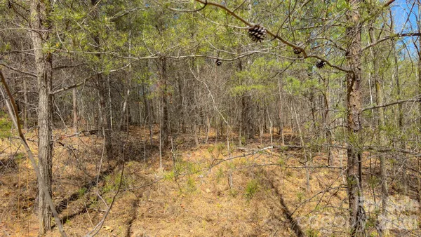 $55,000 | Tbd Jobes Trail, Unit 29, Mill Spring, NC 28756