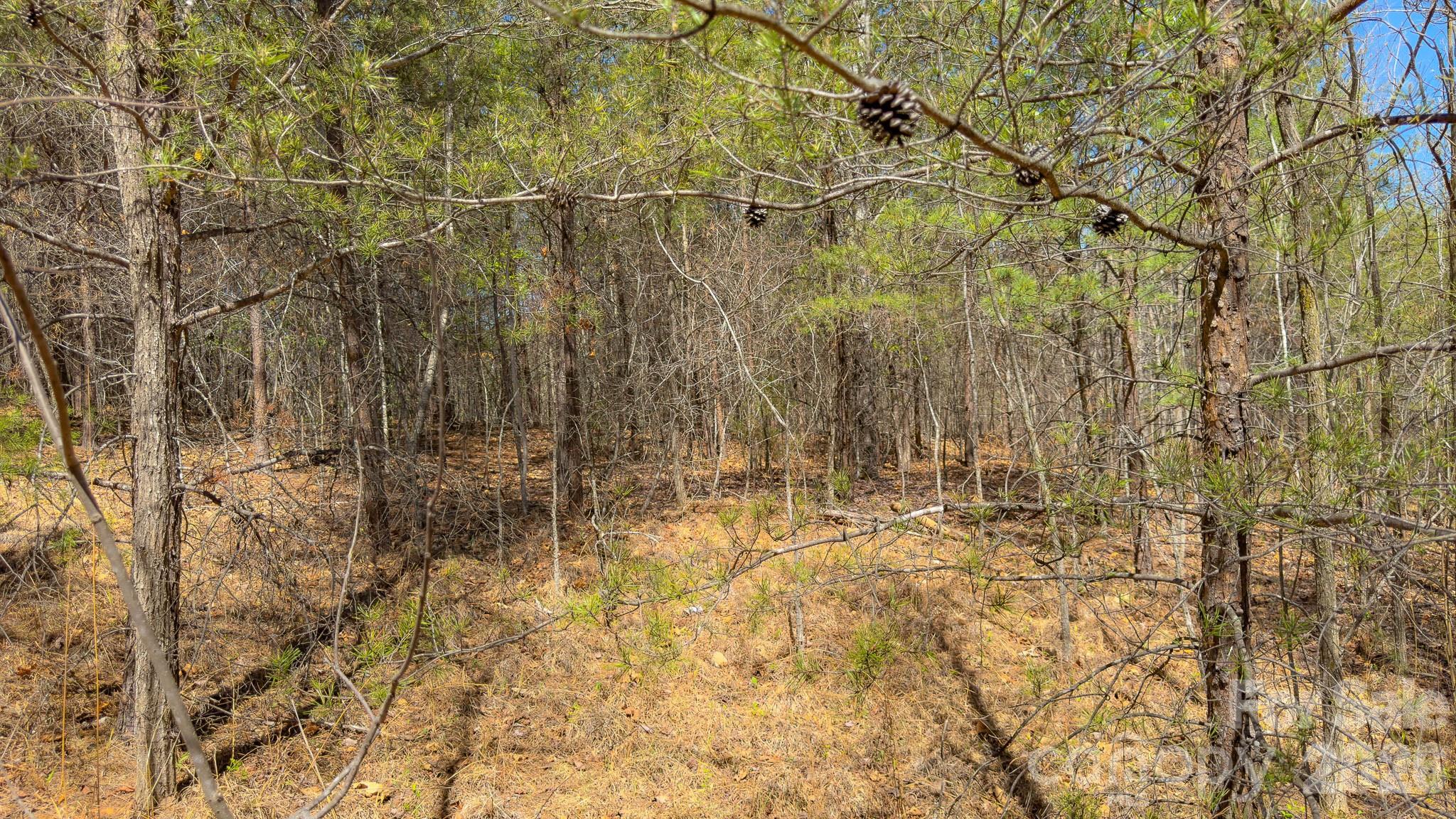 Tbd Jobes Trail, Unit 29 Mill Spring, NC 28756 - Photo 25 of 41