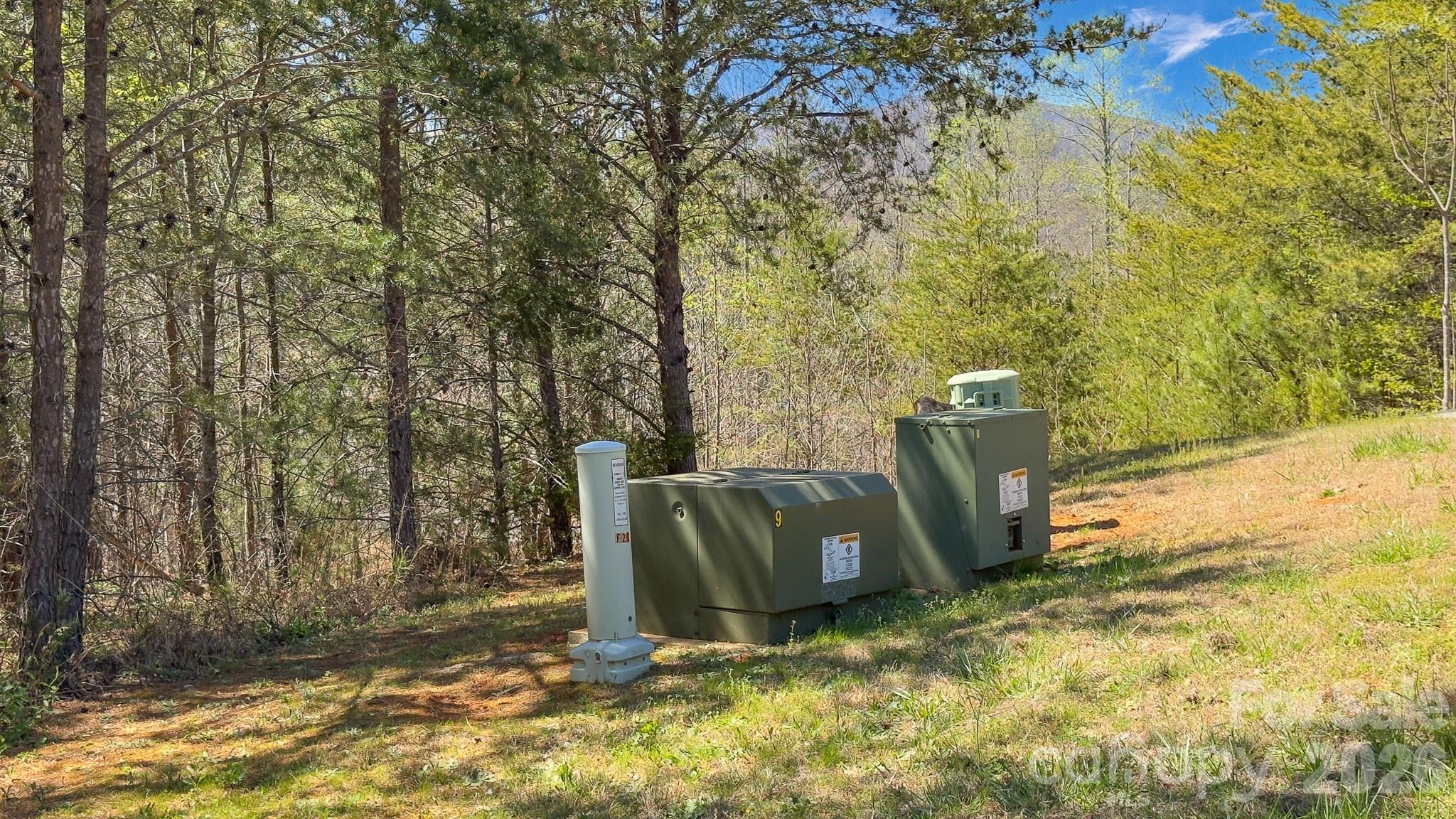 Tbd Jobes Trail, Unit 29 Mill Spring, NC 28756 - Photo 27 of 41