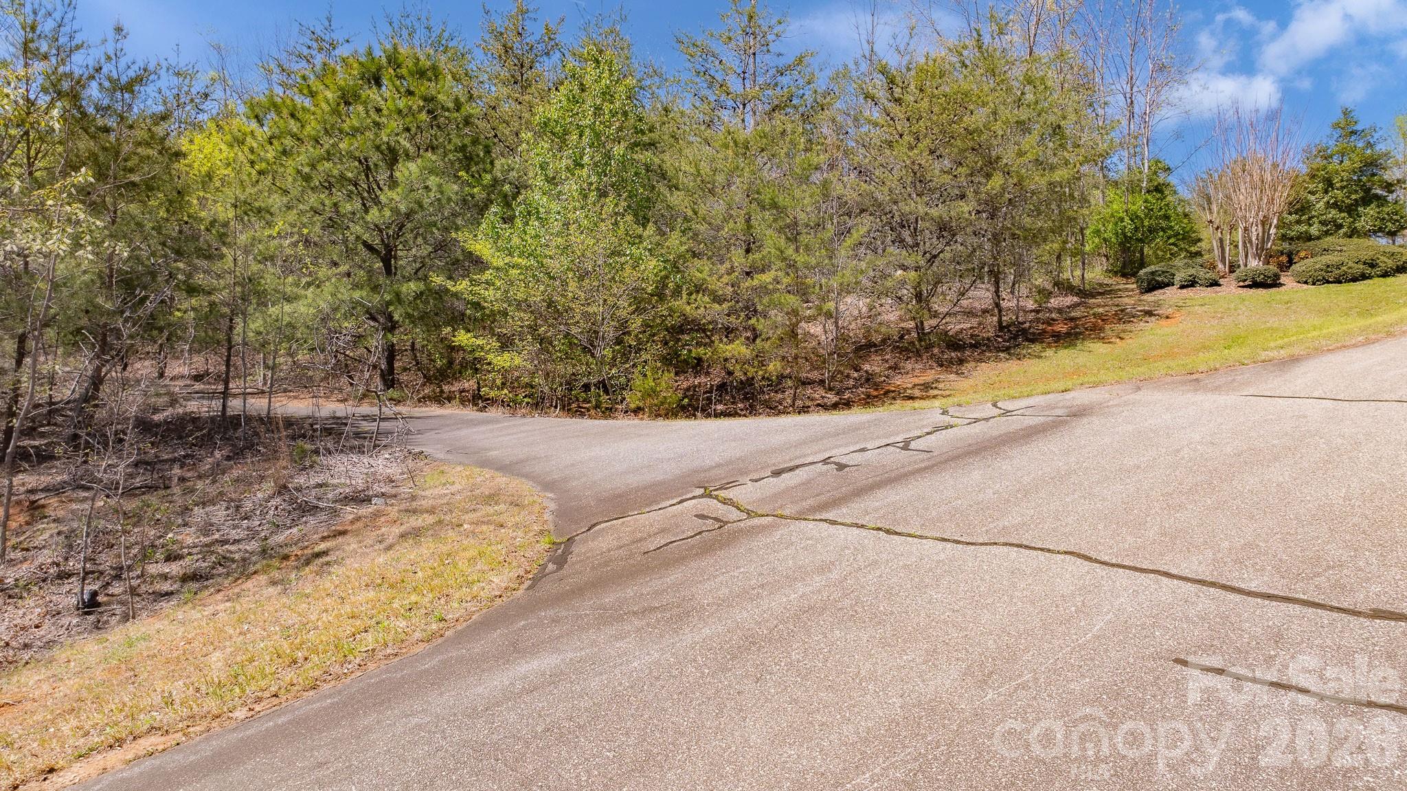 Tbd Jobes Trail, Unit 29 Mill Spring, NC 28756 - Photo 4 of 41