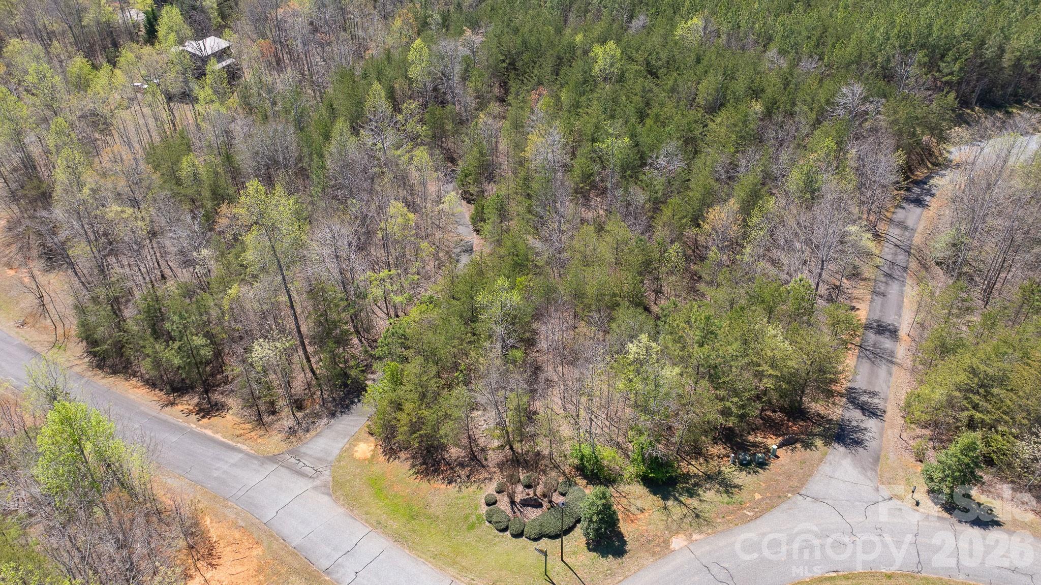 Tbd Jobes Trail, Unit 29 Mill Spring, NC 28756 - Photo 5 of 41