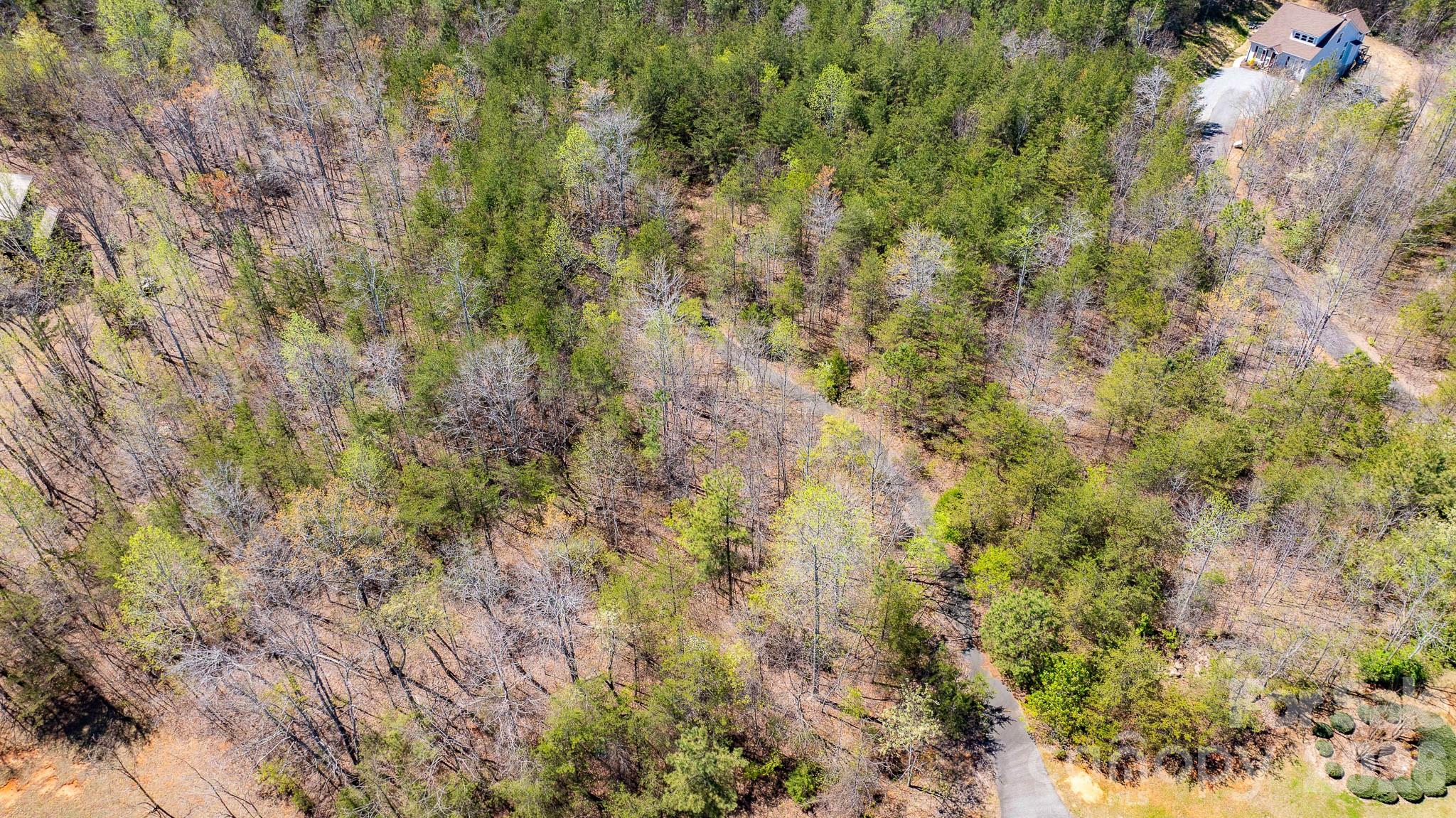 Tbd Jobes Trail, Unit 29 Mill Spring, NC 28756 - Photo 7 of 41