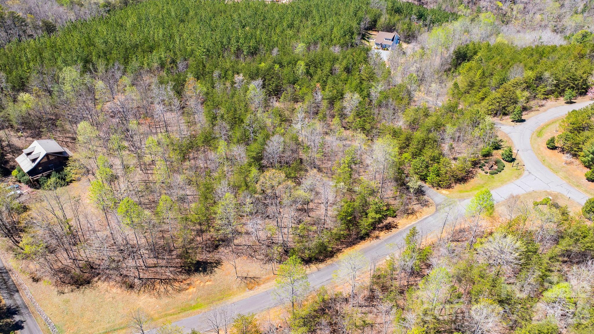 Tbd Jobes Trail, Unit 29 Mill Spring, NC 28756 - Photo 9 of 41