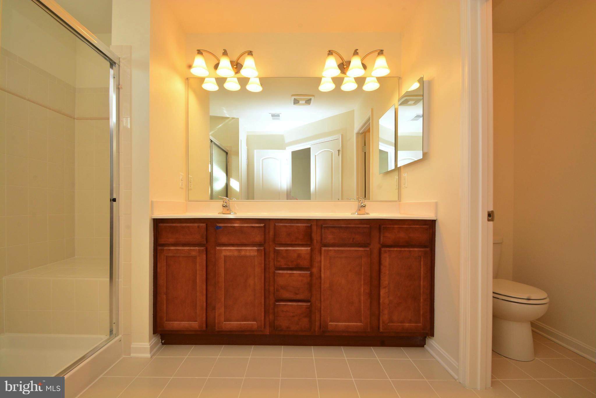 468 Claiborne Road North East, MD 21901 - Photo 20 of 30 Bath (Master)