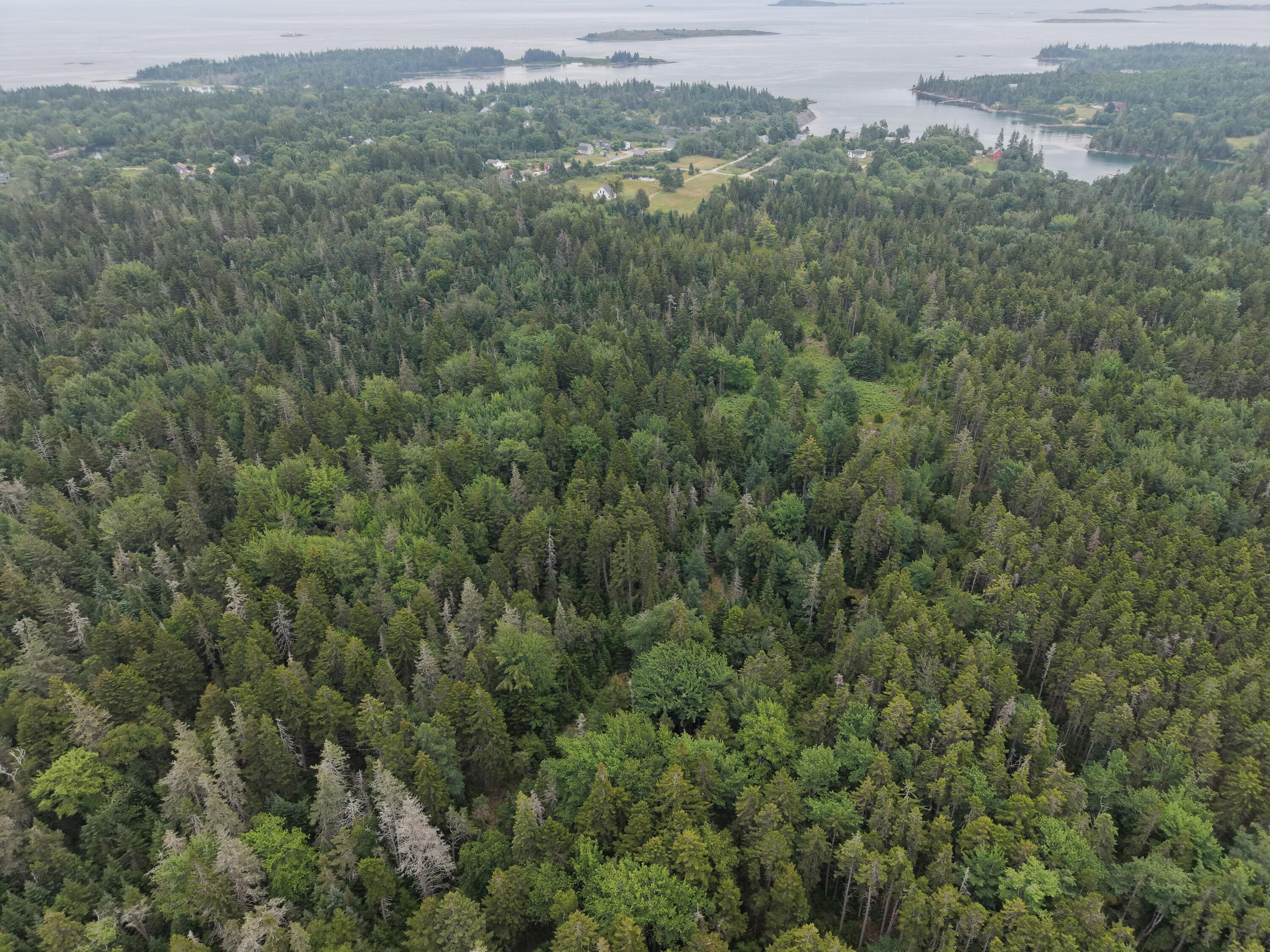 60 Pequot Road Vinalhaven, ME 04863 - Photo 6 of 50 60 Pequot2