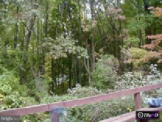 4 High Road New Hope, PA 18938 - Photo 2 of 4 Gallery Image 2