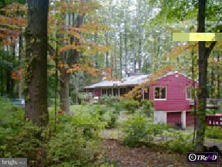 4 High Road New Hope, PA 18938 - Photo 4 of 4 Gallery Image 4