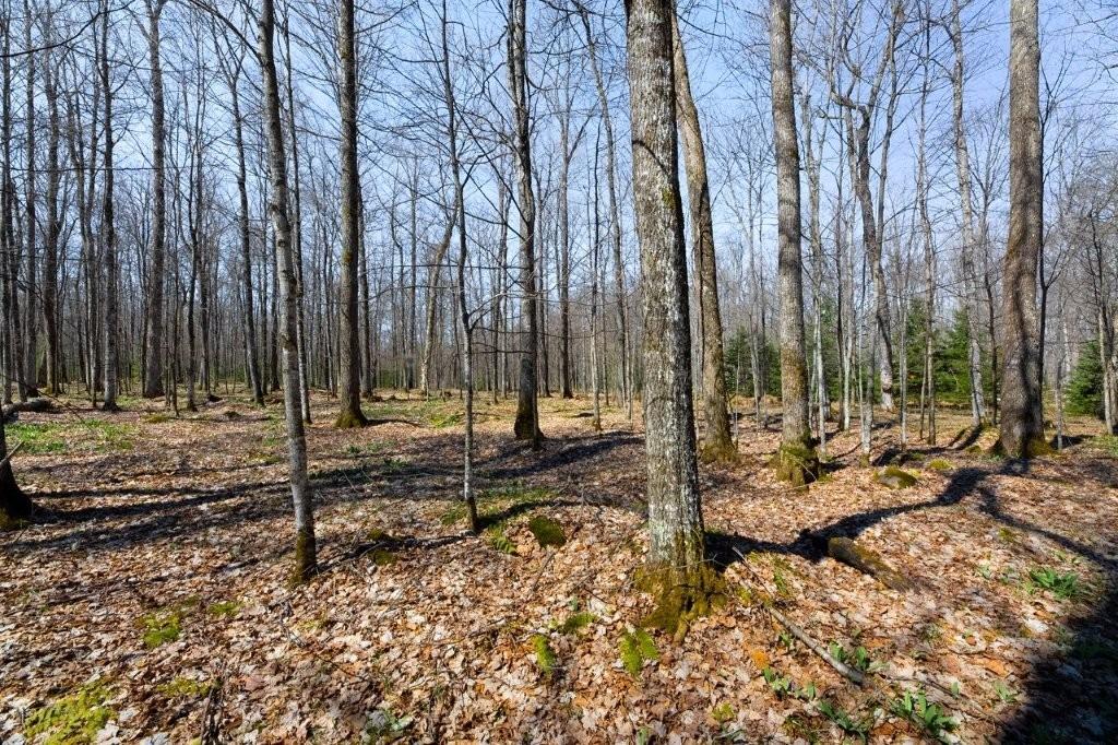 Off Maple Ridge Lane, Unit LOT B Presque Isle, WI 54557 - Photo 7 of 11 Gallery Image 7
