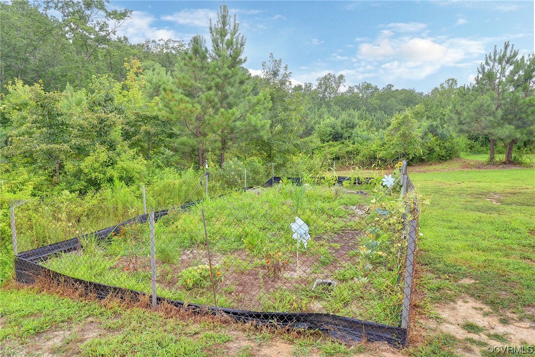 2970 Evergreen Road Providence Forge, VA 23140 - Photo 45 of 48 a view of a green yard with large trees