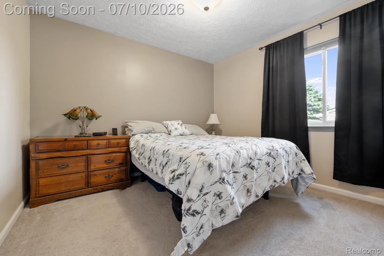 310 Mason Road Howell, MI 48843 - Photo 15 of 39 310 Mason R6ii-78 Large.jpeg