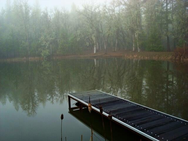 16575 Meadows Road White City, OR 97503 - Photo 8 of 46 Pond5