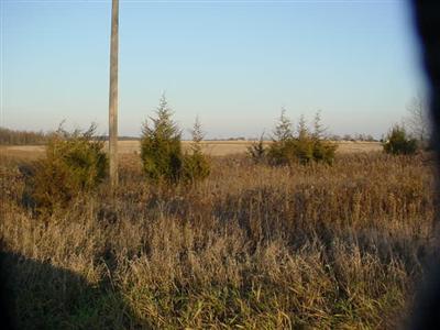 Hartley Road Waldron, MI 49288 - Photo 2 of 4 Additional Photo