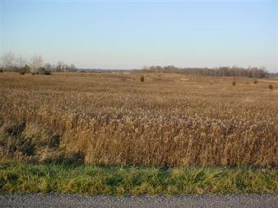 Hartley Road Waldron, MI 49288 - Photo 4 of 4 Additional Photo