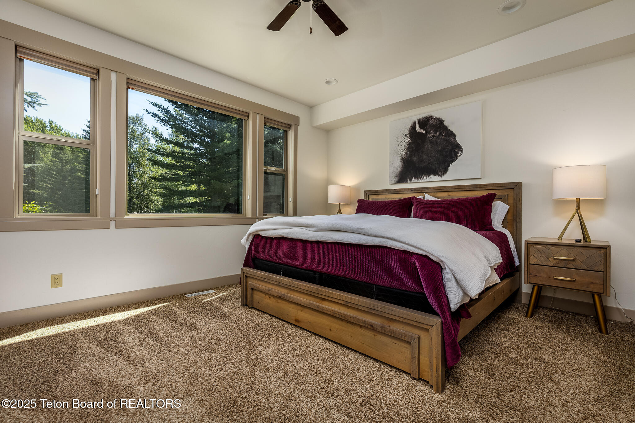 254 Abby Loop Victor, ID 83455 - Photo 13 of 40 image-10