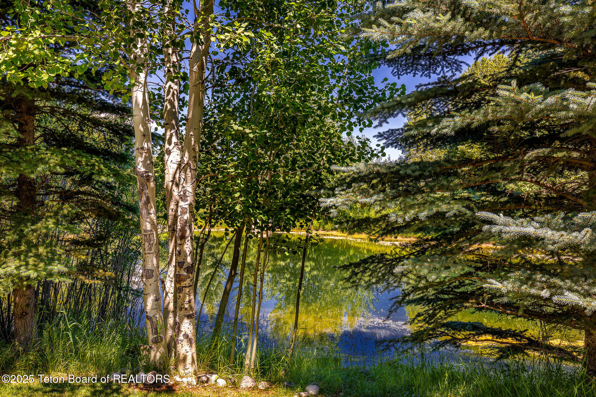 254 Abby Loop Victor, ID 83455 - Photo 33 of 40 image-31