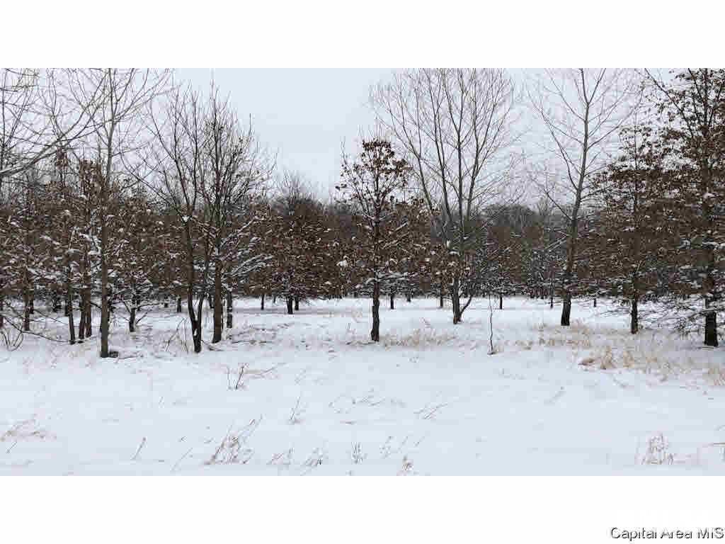 2695 North 300th Road Plymouth, IL 62367 - Photo 15 of 36
