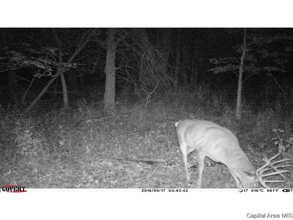 2695 North 300th Road Plymouth, IL 62367 - Photo 30 of 36