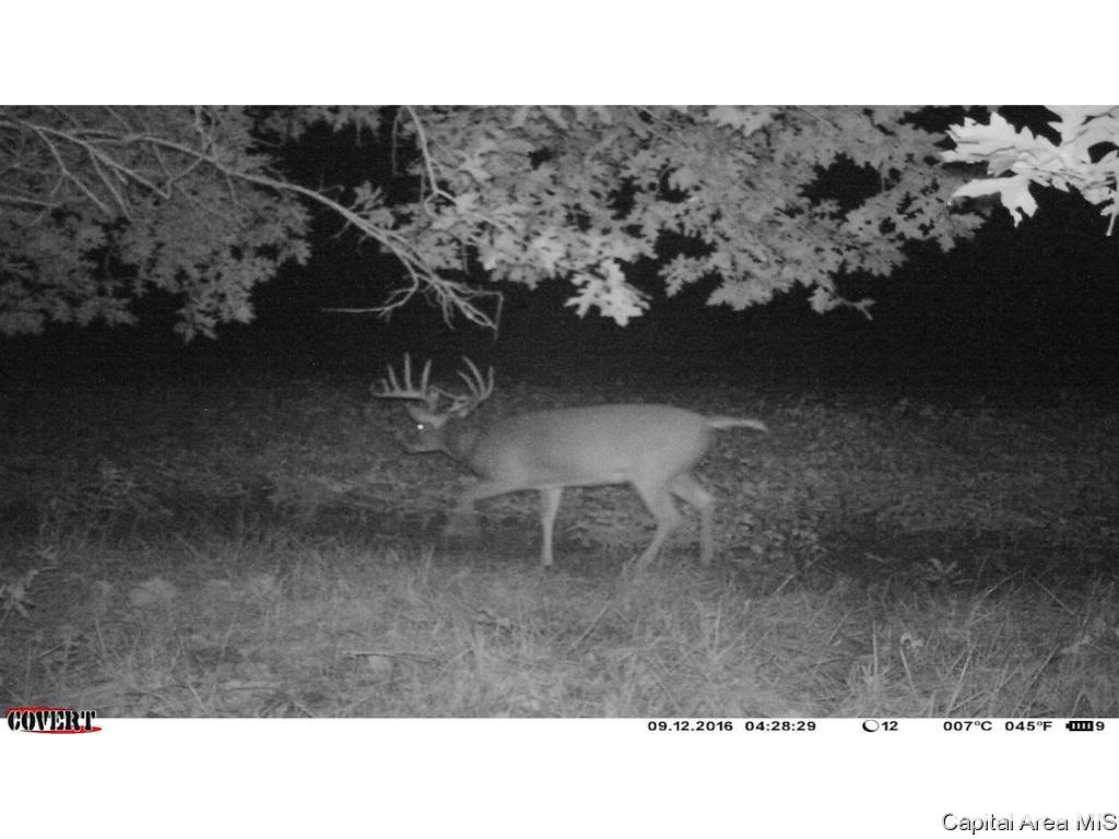 2695 North 300th Road Plymouth, IL 62367 - Photo 36 of 36