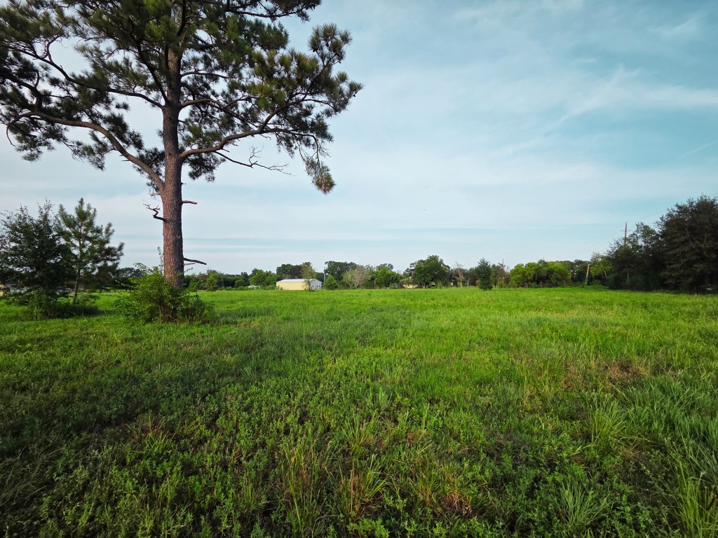 Lot 1 Clara Wilson Road Crosby, TX 77532 - Photo 11 of 20
