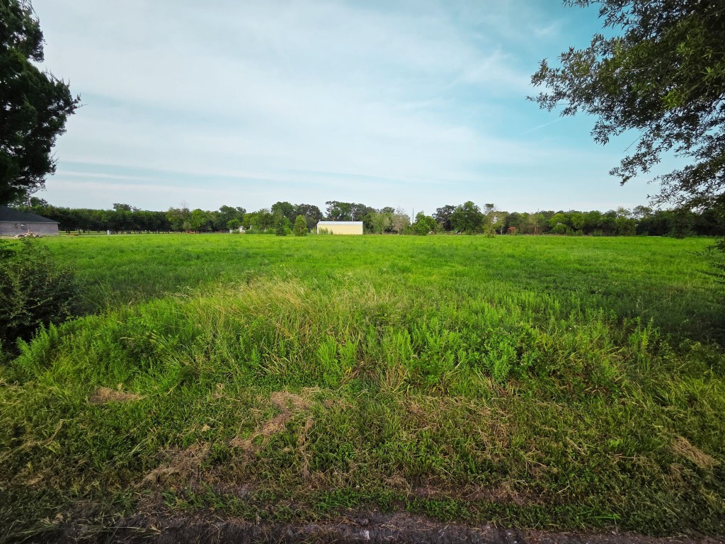 Lot 1 Clara Wilson Road Crosby, TX 77532 - Photo 12 of 20