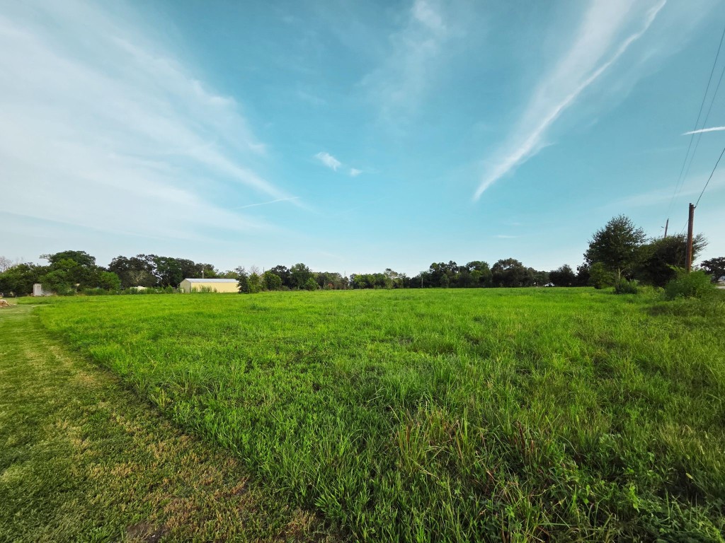 Lot 1 Clara Wilson Road Crosby, TX 77532 - Photo 7 of 20