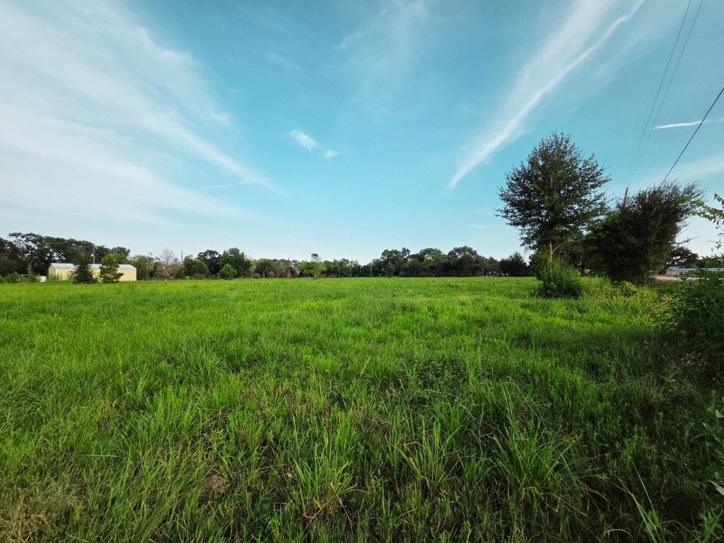 Lot 1 Clara Wilson Road Crosby, TX 77532 - Photo 8 of 20