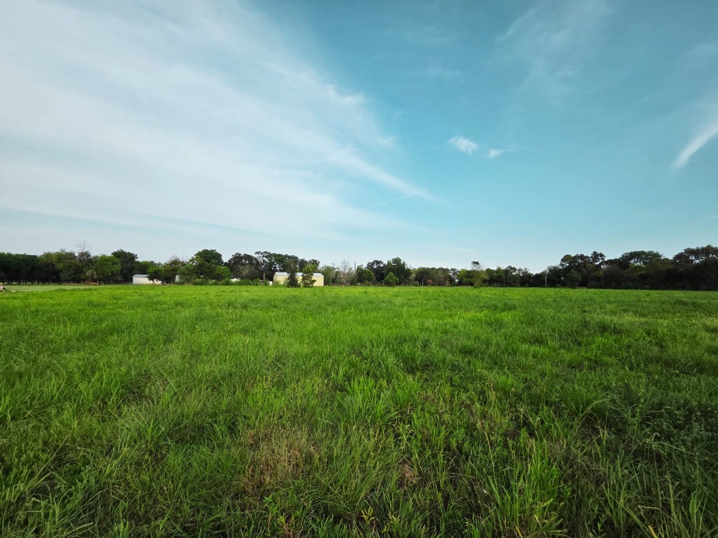 Lot 1 Clara Wilson Road Crosby, TX 77532 - Photo 9 of 20