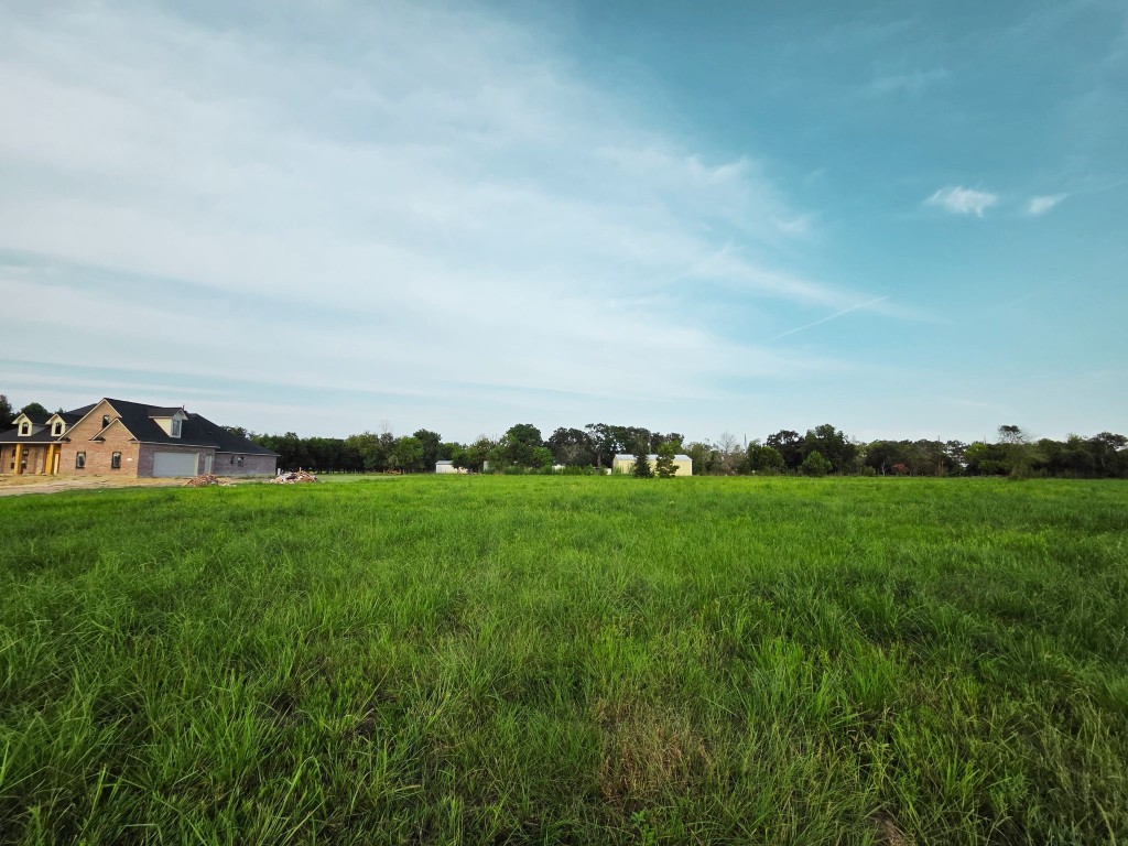 Lot 1 Clara Wilson Road Crosby, TX 77532 - Photo 10 of 20