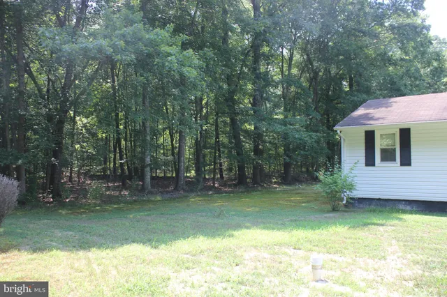 a swimming pool with trees in the background