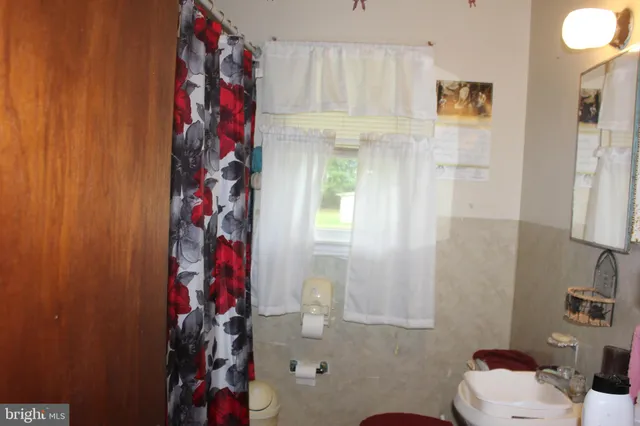 a bathroom with a shower curtain and a sink
