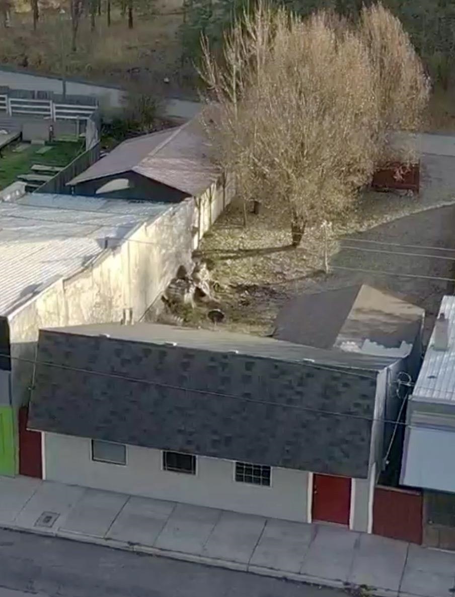 121 West Shaffer Avenue Springdale, WA 99173 - Photo 3 of 31 Gallery Image 3