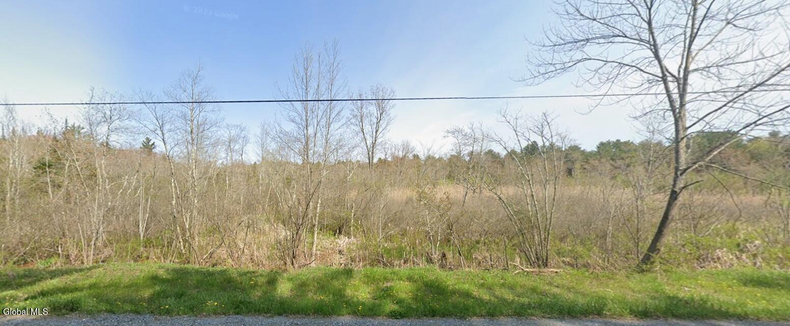 532 Taconic Lake Road Grafton, NY 12138 - Photo 2 of 5 Outside