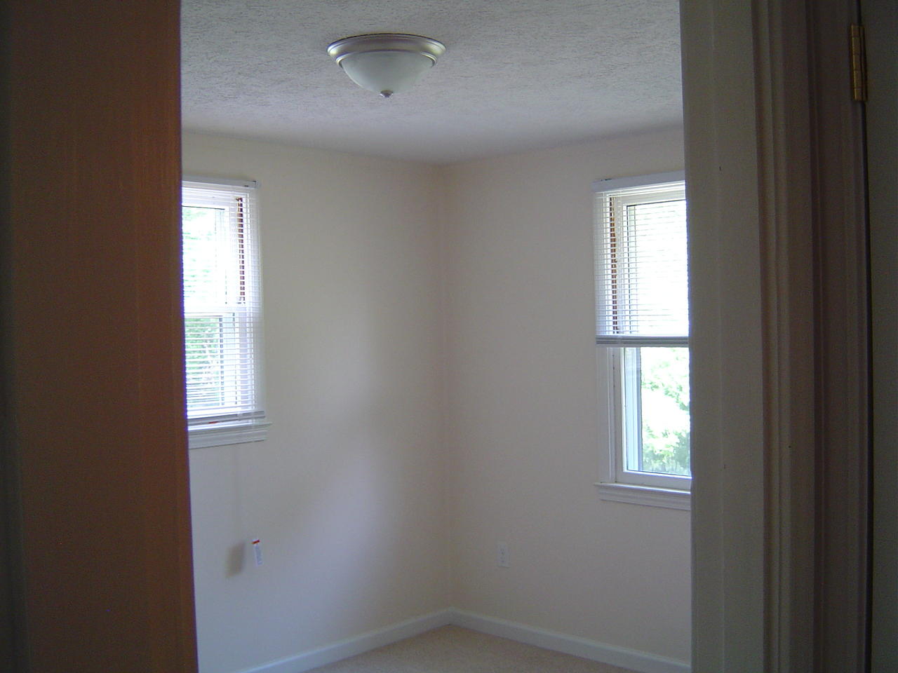 2200 Springwood Road Fincastle, VA 24090 - Photo 8 of 13 7