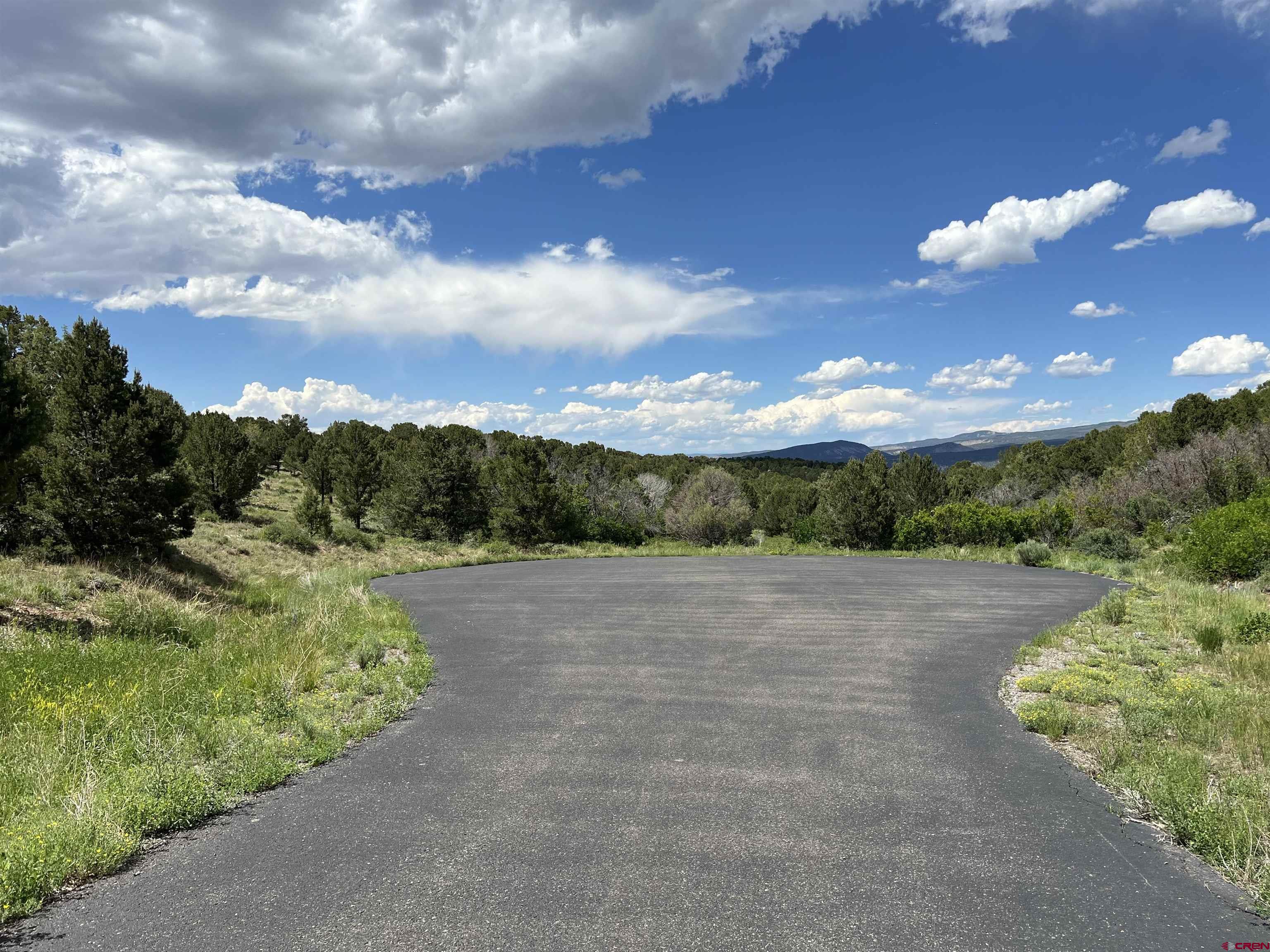 Lot 9 Pointe Escape Drive Ridgway, CO 81432 - Photo 4 of 33