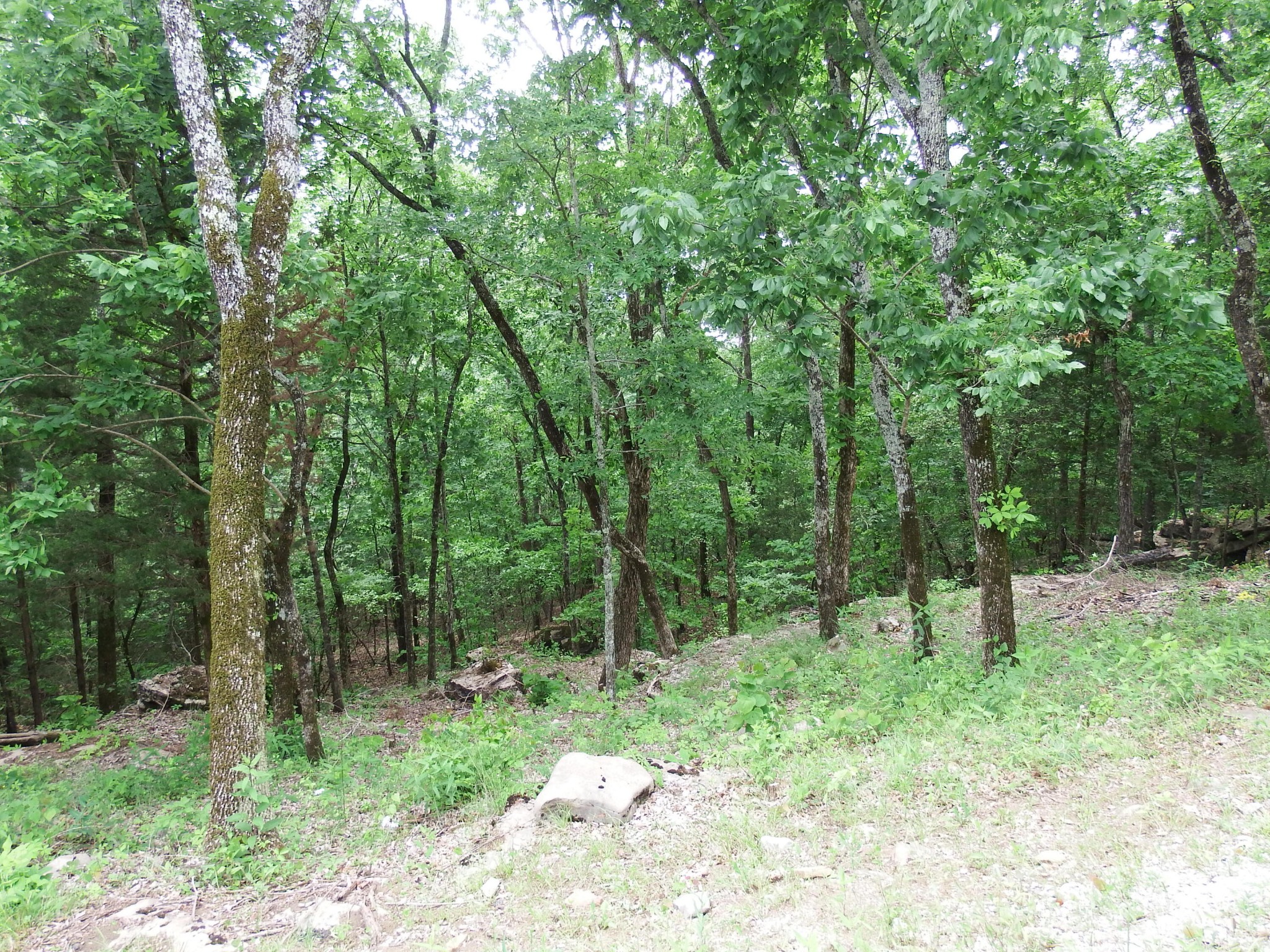 Gallery Image 6