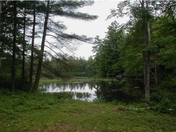 12-14 Lakeside Road Grafton, NH 03240 - Photo 7 of 36 Gallery Image 7